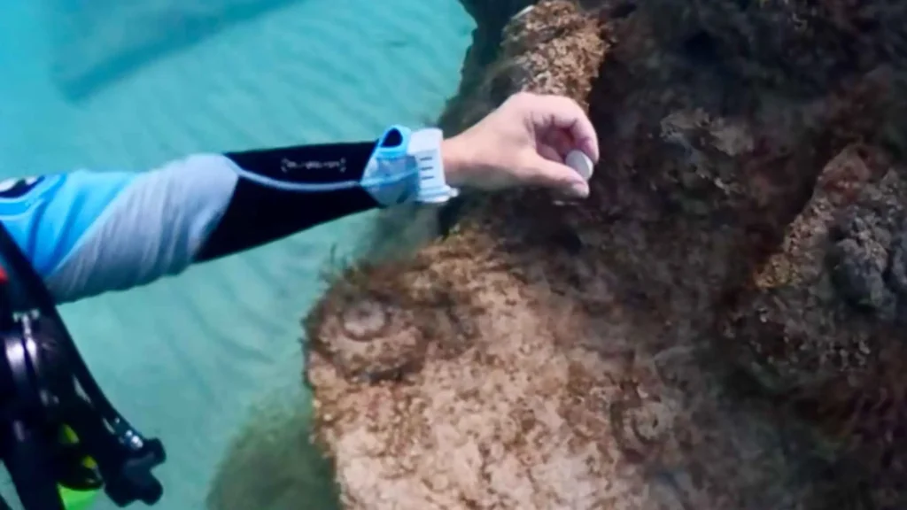 Scuba diver explores multiple reef modules on the ocean floor off Hollywood Beach, Florida under bright sunlight